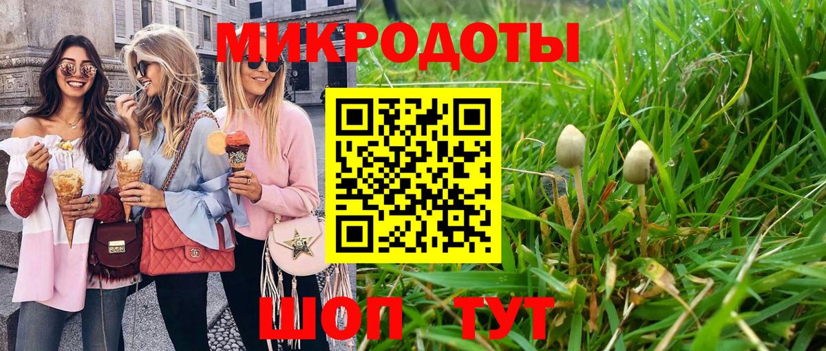 Галлюциногенные грибы прущие грибы Крымск